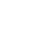 AI Development